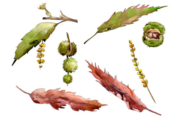 Autumn Chestnut Watercolor Plant Set Review