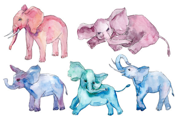 Baby Elephant Watercolor Illustrations Review