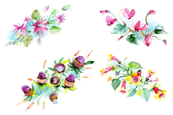 Bilbao Flower Bouquet Watercolor Illustrations