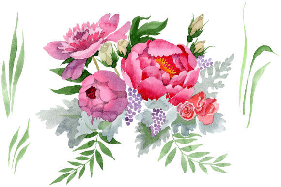 Bouquet Grace Watercolor Illustrations Review
