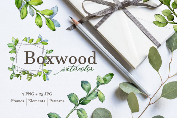 Boxwood Watercolor Illustrations Review