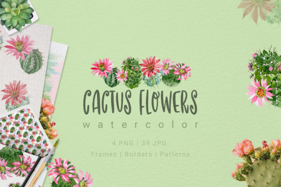 Cactus Flowers Watercolor Set & Illustrations
