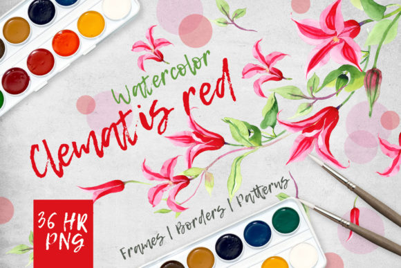 Clematis Red Watercolor Flower Set & Illustrations