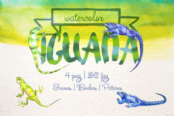 Exotic Iguana in a Watercolor Set Review
