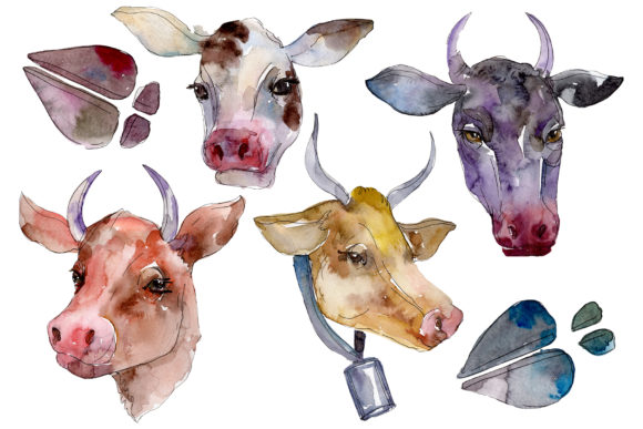 Farm Animals Cow Head Watercolor Illustrations Review