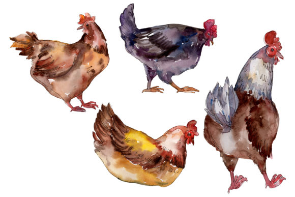 Farm Animals Hen Watercolor Embroidery Review