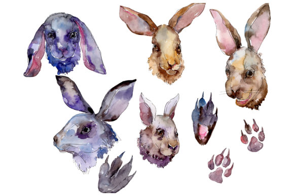 Farm Animals Rabbit Head Watercolor Illustrations