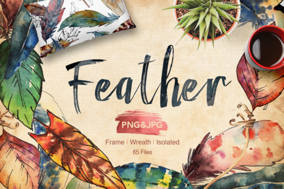 Feather Bird Watercolor Set Illustrations