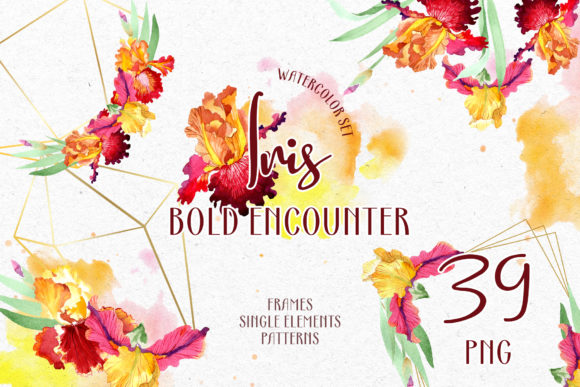 Iris Bold Encounter Watercolor Review