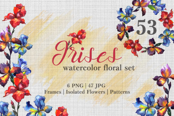 Irises Watercolor Illustrations Review