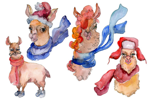 Lama, Alpaca Watercolor Illustrations