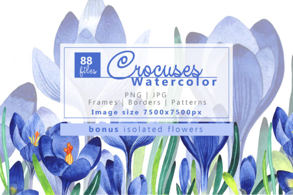 Light Blue Crocuses Watercolor Set Review