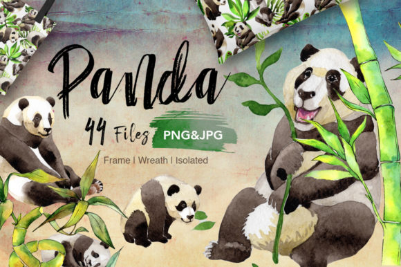 Panda Wild Animal Watercolor Set Illustrations