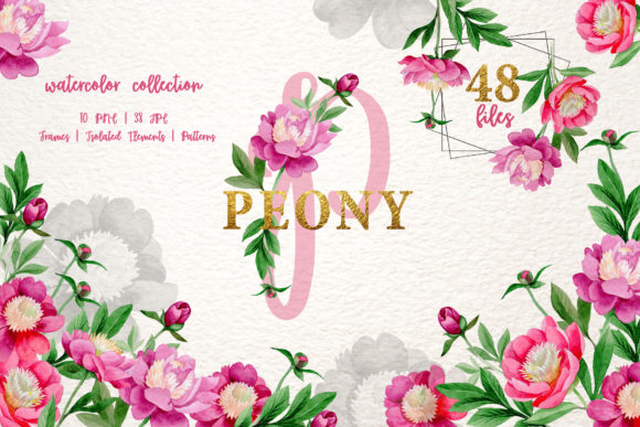 Pink Peony Tenderness Watercolor Png & Illustrations