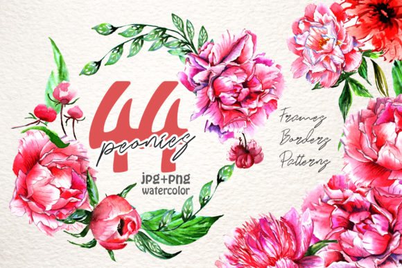 Pink Peony Watercolor Set Illustrations