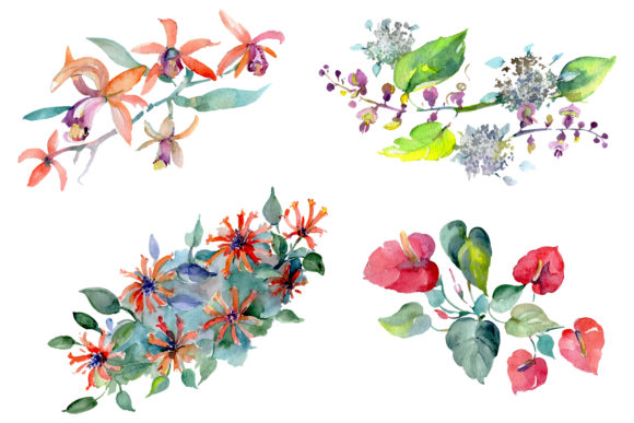 Reviewing Barnaby Flowers Bouquet Watercolor