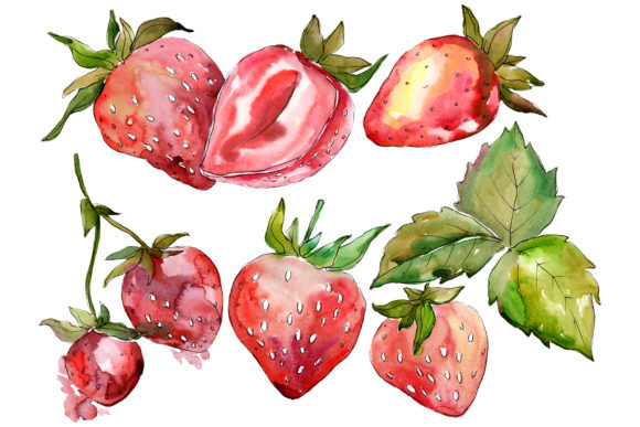 Strawberry Marmolada Watercolor Illustrations Review