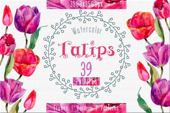 Tulips Watercolor Flower Set & Illustrations