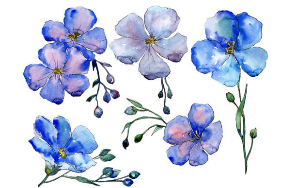 Wildflower Blue Flax Watercolor Set Illustrations